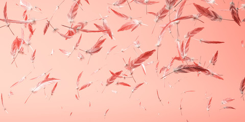 Living Coral color of the Year 2019. Background with feathers in trendy color