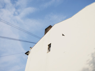 Minimalism house