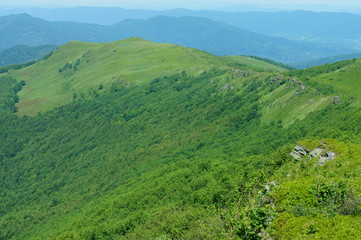 Fototapeta premium Bukowe Berdo mountain range. Bieszczady National Park.