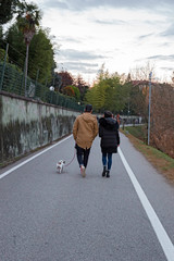 A couple with their dog, stroll along the Ticino in a winter afternoon