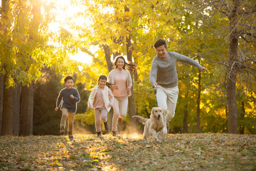 Happy young family with dog in autumn woods