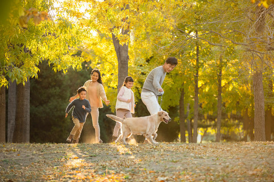 Happy young family with dog in autumn woods