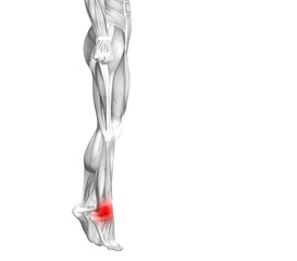 Conceptual ankle human anatomy with red hot spot inflammation or articular joint pain for leg health care therapy or sport muscle concepts. 3D illustration man arthritis or bone osteoporosis disease