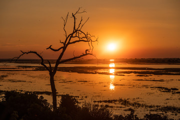 Fototapeta na wymiar Sunset at the chobe river in Botswana