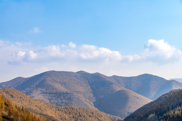 Mountains and forests in autumn