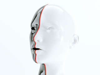 human head separated by red line as symbol of balance and diversity