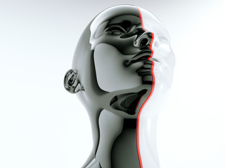 human head separated by red line as symbol of balance and diversity