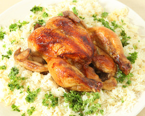 Roast chicken and rice high angle
