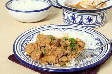 Beef stroganoff meal horizontal