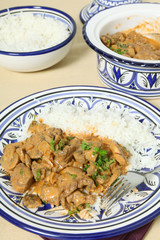 Beef stroganoff meal vertical