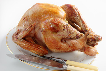 Roasted turkey for carving