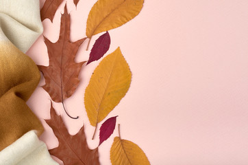 Leaves composition. Nature concept background. Flat lay and top view photo