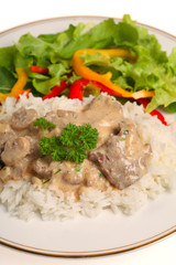 Beef stroganoff meal vertical