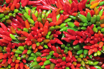 Chilli pepper abstract