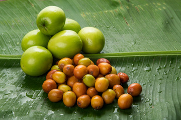  Fruit : Close up of  Different Varieties of Indian Jujube Apple Isolated on Green Banana Leaf Background Shot in Studio