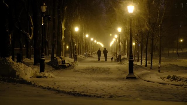 Footage of snow falling on winter night city park. People with dog walking on winter park alley