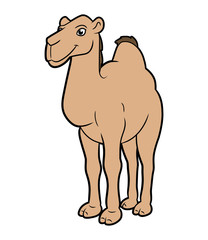 Cartoon illustration of a camel 2