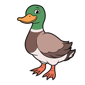 Cartoon illustration of a duck