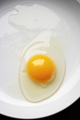 Raw Egg On White Plate