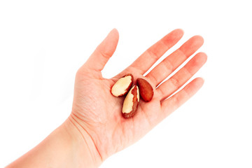 Brazil nuts hold in a hand, isolated on white background.