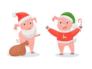 New Year Pigs in Santa Costume and Knitted Sweater
