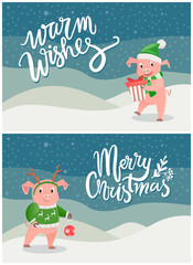 Warm Wishes and Merry Christmas Greeting Cards Pig