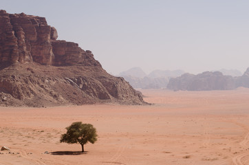 Wüste Wadi Rum, Jordanien