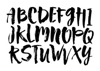 Vector Acrylic Brush Style Hand Drawn Alphabet Font. Calligraphy alphabet on a white background