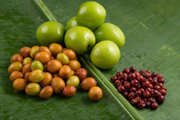  Fruit : Close up of  Different Varieties of Indian Jujube Apple Isolated on Green Banana   Leaf Background Shot in Studio