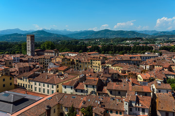 Fototapeta na wymiar Roofs of Luca old town, Italy