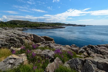 Tuinposter North sea shore not far from Stavanger, Norway, on a clear summer day © Alexei Prokofiev