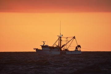 Fototapeta premium Sunrise Shrimper