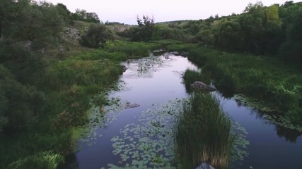 Fairylike brook flowing between two stony banks with cane at sunset in summer