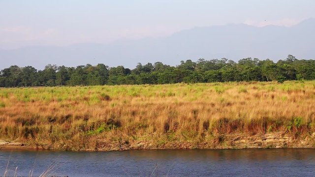 River Landscape in Chitwan National Park, Nepal