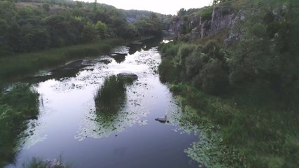 Arty stream stretching between two stony banks with sedge and trees in summer