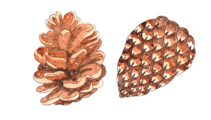 Watercolor hand painted cones.