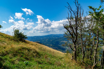 Lungo il sentiero 201 da val d'abisso al monte Nerone