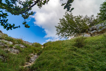 Lungo il sentiero 201 da val d'abisso al monte Nerone