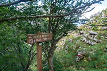 Lungo il sentiero 201 da val d'abisso al monte Nerone
