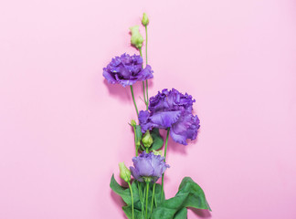 frame of flowers on a blue background pink tenderness greeting card for women March 8 spring roses texture wallpaper gift favorite place for text