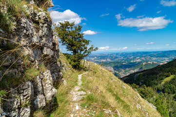 Fototapeta na wymiar Sentiero panoramico sul monte Nerone