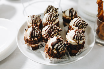 Chocolate cupcakes with ricotta cheese frosting on the white plate