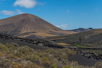 Fototapeta premium Canary islands lanzarote volcano landscape sunny day