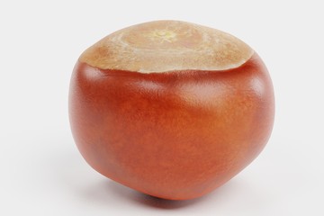 Realistic 3D Render of Chestnut
