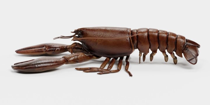 Realistic 3D Render of Lobster
