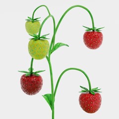 Realistic 3D Render of Strawberry Plant