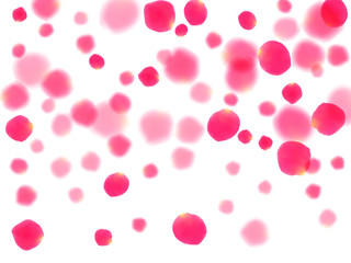 Pink rose petals falling vector valentine background.