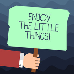 Text sign showing Enjoy The Little Things. Conceptual photo Get inspired by simple details from life Motivation Hu analysis Hand Holding Blank Colored Placard with Stick photo Text Space