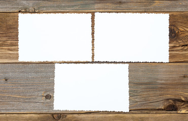 three blank retro photo
