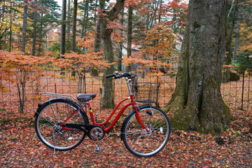 Fototapeta na wymiar Red color bicycle parking in the park with beautiful autumn leave around